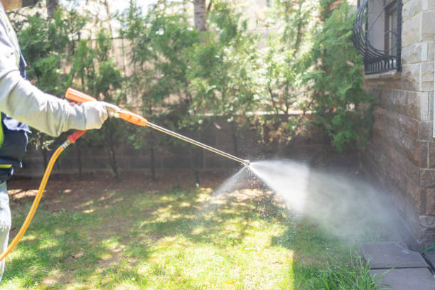 Best Pest Exclusion Services  in Mledgevle, IL